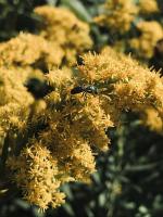 View photo in a new window