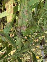 View photo in a new window