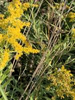 View photo in a new window