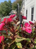 View photo in a new window