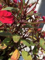 View photo in a new window