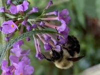 View photo in a new window