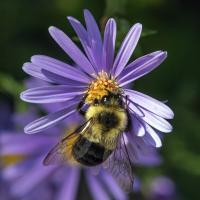 View photo in a new window