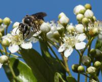 View photo in a new window