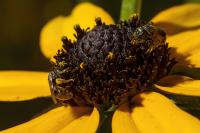 View photo in a new window