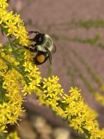 View photo in a new window