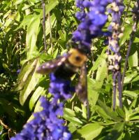 View photo in a new window