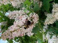 View photo in a new window