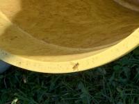 View photo in a new window