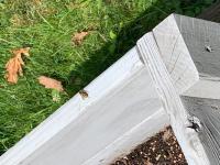 View photo in a new window