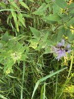 View photo in a new window