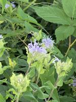 View photo in a new window