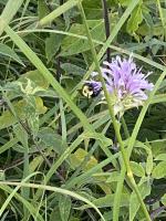 View photo in a new window