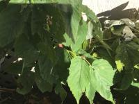 View photo in a new window