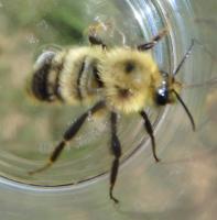 View photo in a new window