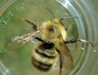 View photo in a new window