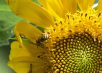 View photo in a new window