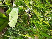 View photo in a new window