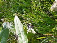 View photo in a new window