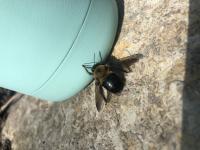 View photo in a new window