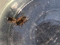 View photo in a new window