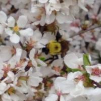 View photo in a new window