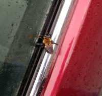 View photo in a new window