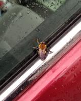 View photo in a new window