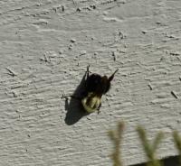 View photo in a new window