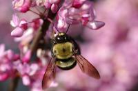 View photo in a new window