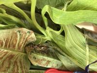 View photo in a new window