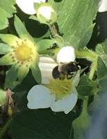 View photo in a new window