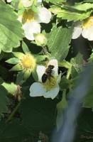 View photo in a new window