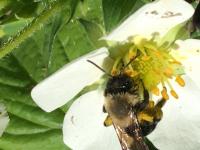 View photo in a new window