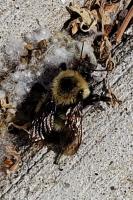 View photo in a new window