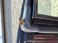 View photo in a new window