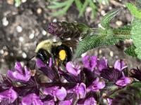 View photo in a new window