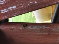 View photo in a new window