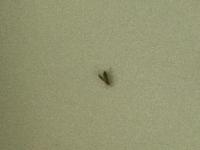 View photo in a new window