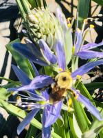 View photo in a new window