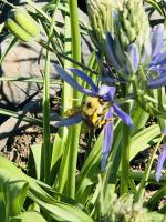 View photo in a new window