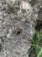 View photo in a new window