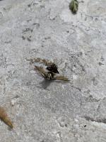 View photo in a new window