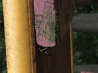 View photo in a new window