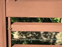 View photo in a new window