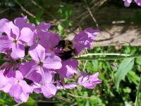 View photo in a new window