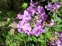 View photo in a new window