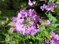 View photo in a new window