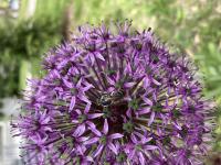 View photo in a new window