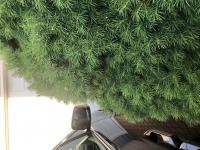 View photo in a new window